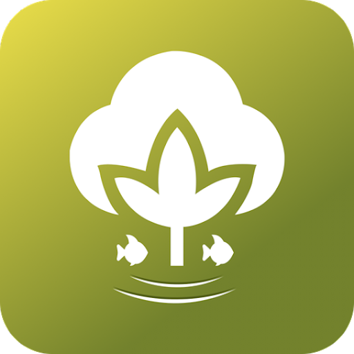 Crop Verification Kaithal