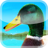 Ducks 3D Live Wallpaper FULL icon