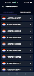 Netherlands Phone Number