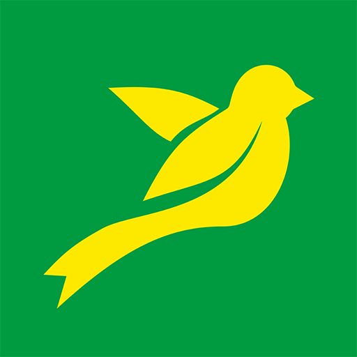 The Yellows - Live Scores logo