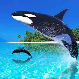 图标图片“Whale Live Wallpaper”