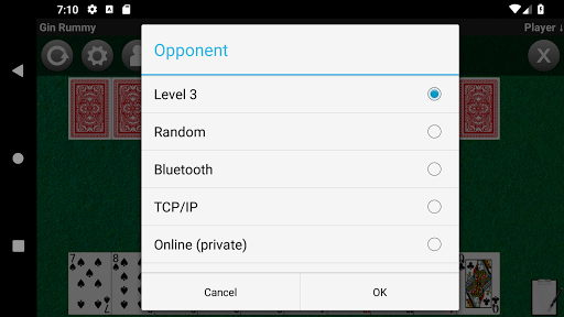 Gin Rummy Screen 3