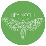 Hey Moth! icon