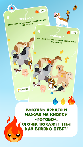 Горячо или холодно Викторина