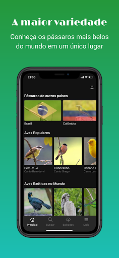 Sounds of birds Screen 3