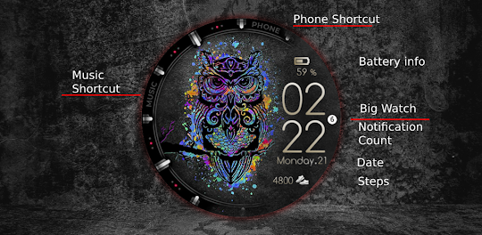 Color Owl Watch Face Wear OS
