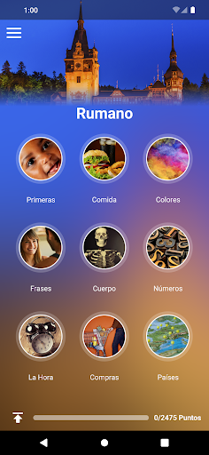 Vista previa de la aplicación