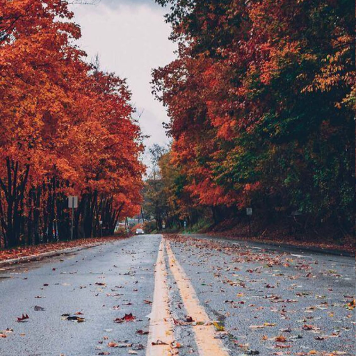 Autumn Wallpapers logo