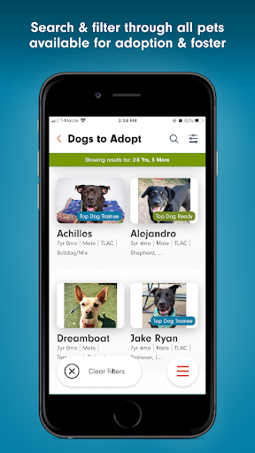 Austin Pets Alive! Screen 2