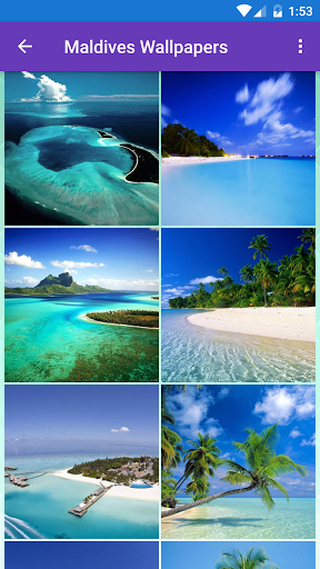 Maldives Flag Wallpaper Flags