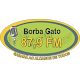 Download Radio Borba Gato fm For PC Windows and Mac 2.0