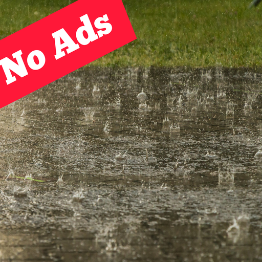 Rain Sound 24 Hours Sounds to