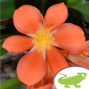 Botanischer Garten Graz