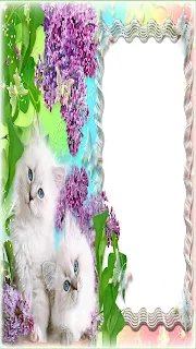 Cat Photo Frame