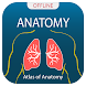 Human Anatomy Handbook