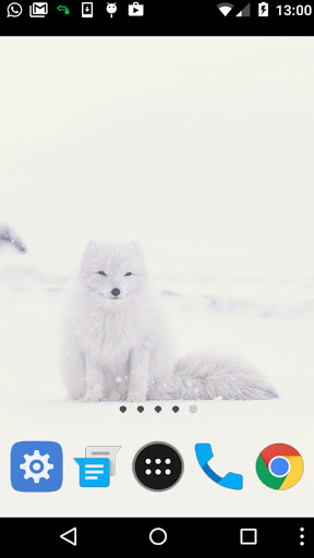 winter animal wallpaper Screen 2
