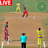 World Cricket Match Simulator icon
