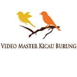 Video Master Chirping Birds icon