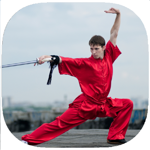 Shaolin Kung Fu Training Guide  Icon