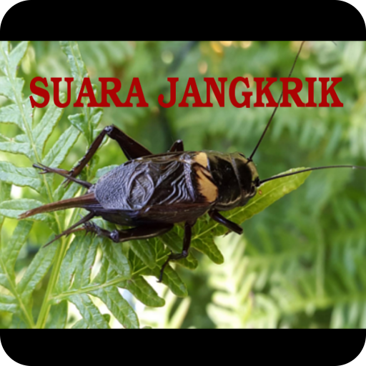Suara Jangkrik Offline logo