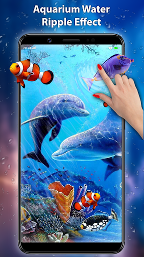 Koi Fish Live Wallpaper 3D Screen 3