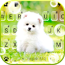 Download Cute White Puppy Keyboard Background Install Latest APK downloader