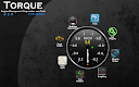screenshot of Torque Pro (OBD 2 & Car)