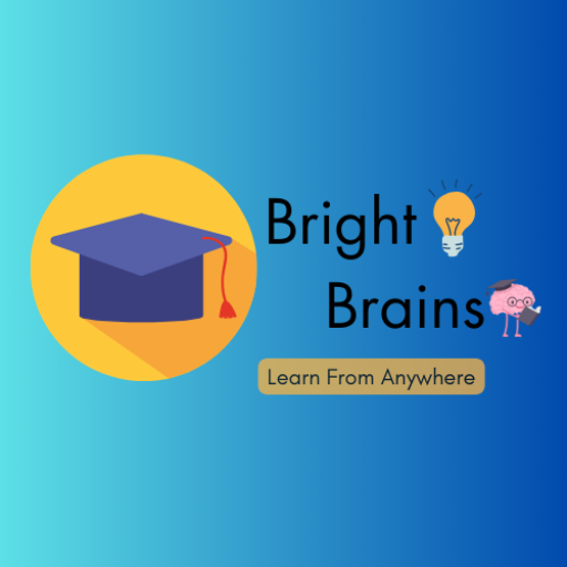 Bright Brains logo