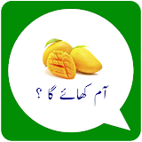 Urdu Stickers icon