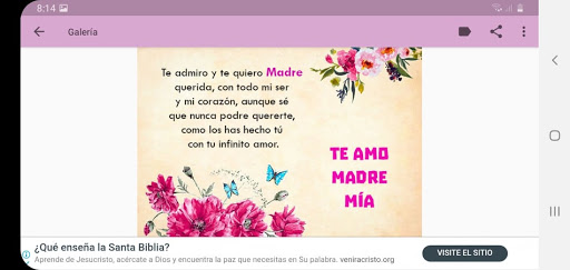 Frases de Amor para Mamá