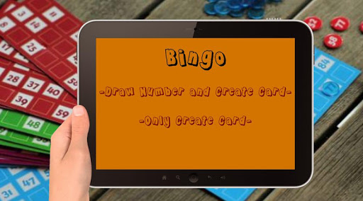 Bingo Game Screen 3