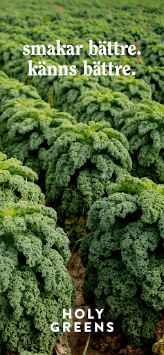Android application Holy Greens screenshort