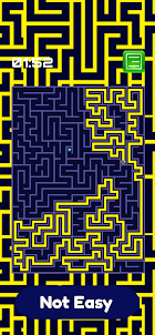 Maze Run