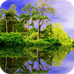 Forest Pond Live Wallpaper Download gratis mod apk versi terbaru
