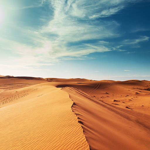 Sahara wallpaper Collection logo