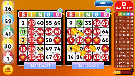 Bingo Classic - Bingo Games 29