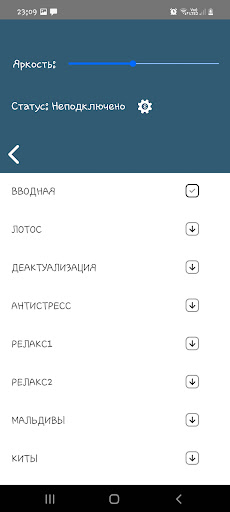 Lingvostim-BT Screen 2