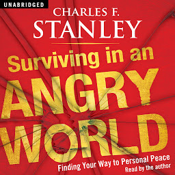 Icon image Surviving in an Angry World: Finding Your Way to Personal Peace