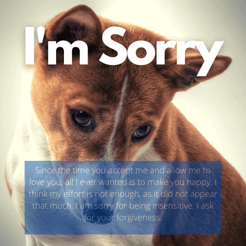 Im Sorry Messages Screen 2