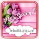Spring Statuses Download on Windows