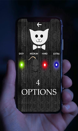 Mouse And Laser For Cats Game