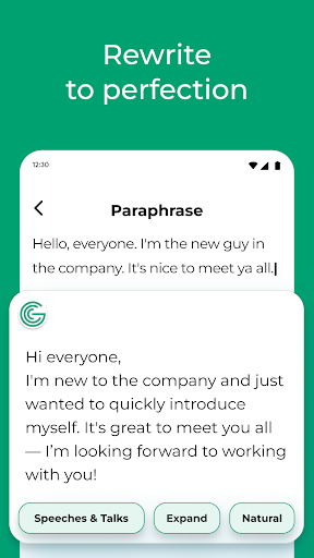 Screenshot of Grammar Check by AI Writing
