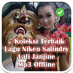 Cover Image of डाउनलोड 12+ Lagu Niken Salindry - Ra K  APK