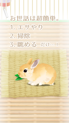 癒しのウサギ育成ゲームのおすすめ画像2