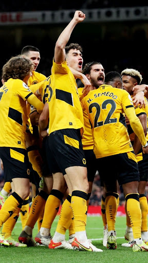 Wolves F.C Wallpaers
