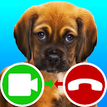 Cover Image of डाउनलोड fake call video puppy game 4.0 APK