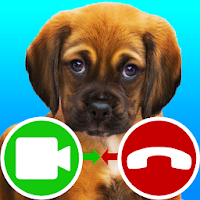 Fake call video puppy game