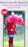 screenshot of Rain GIF