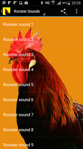 Rooster Sounds Screen 2