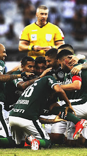 SE Palmeiras Papel de Parede - HD 2021 - Verdu00e3o 1.0 APK screenshots 24